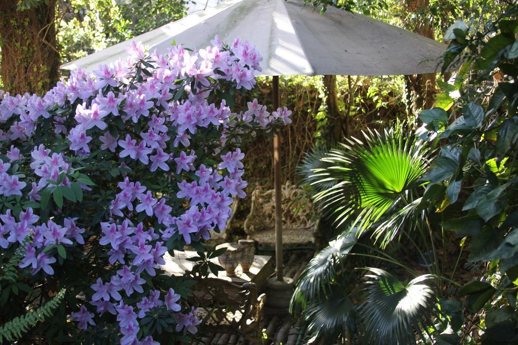La Casona De Grace Bed & Breakfast Olivos Dış mekan fotoğraf