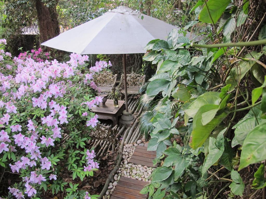 La Casona De Grace Bed & Breakfast Olivos Dış mekan fotoğraf
