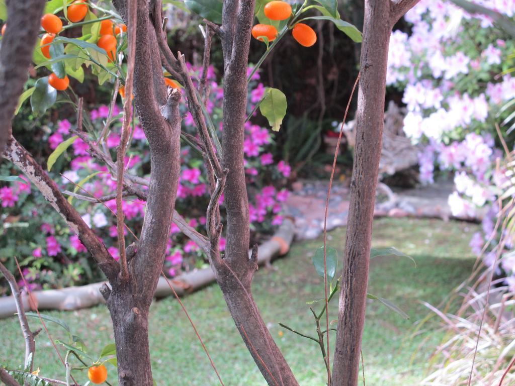 La Casona De Grace Bed & Breakfast Olivos Dış mekan fotoğraf